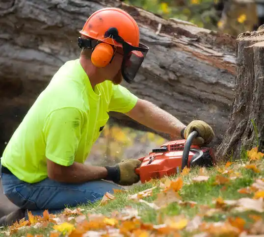 tree services Crestline